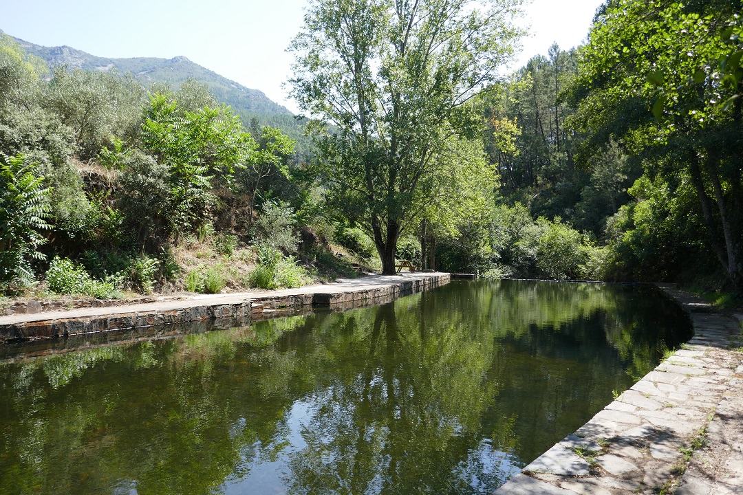 Cabezo natural pool