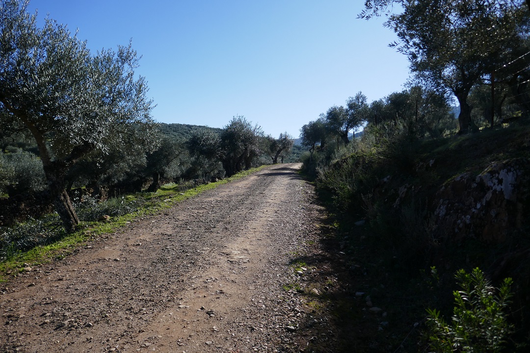 Ruta Sierra de Alor_path