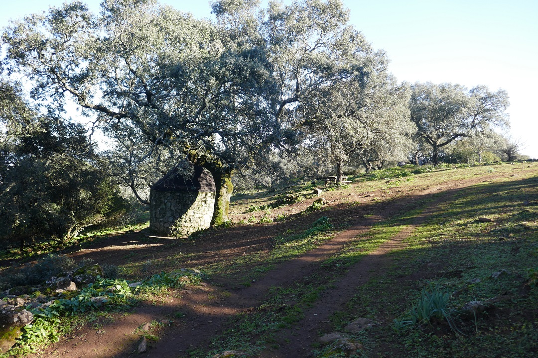 Ruta Sierra de Alor_picnic area
