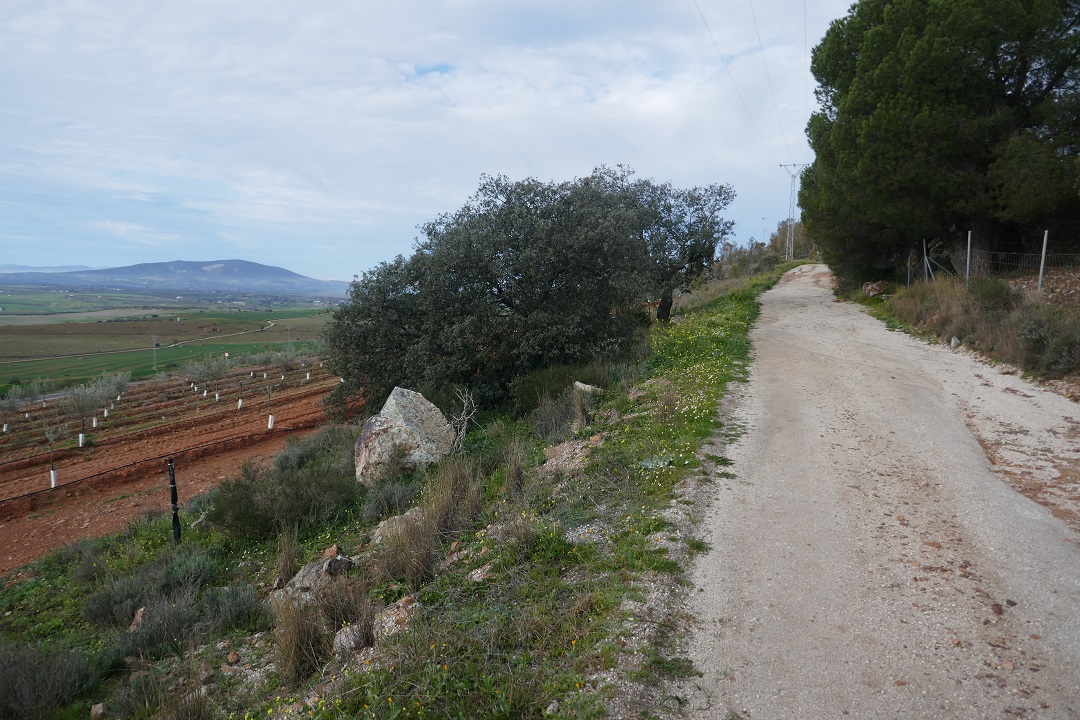 Sendero del Abrigo del Águila, Magacela