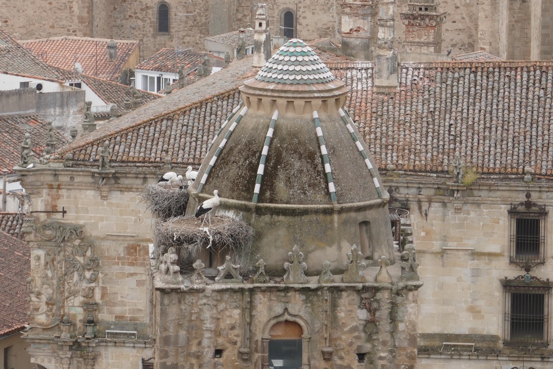 Torre del Alfiler, Trujillo