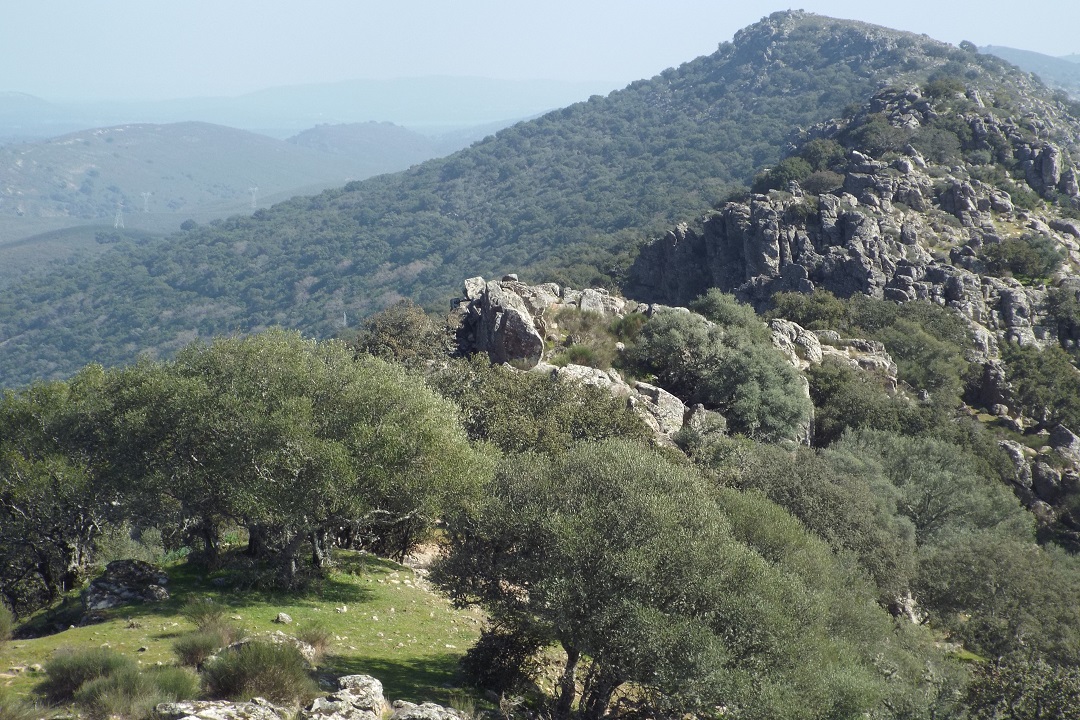 Parque Nacional de Monfragüe