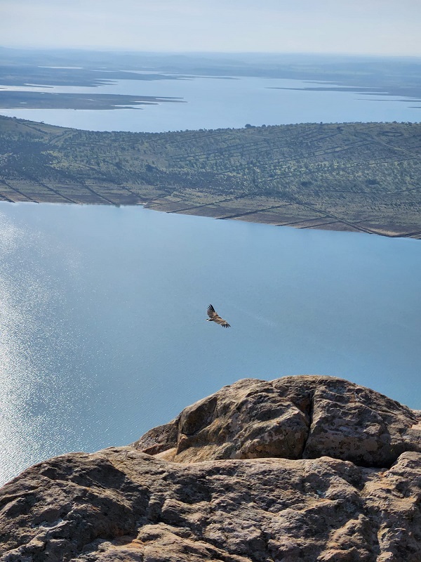 Birdwatching in Extremadura in winter_1