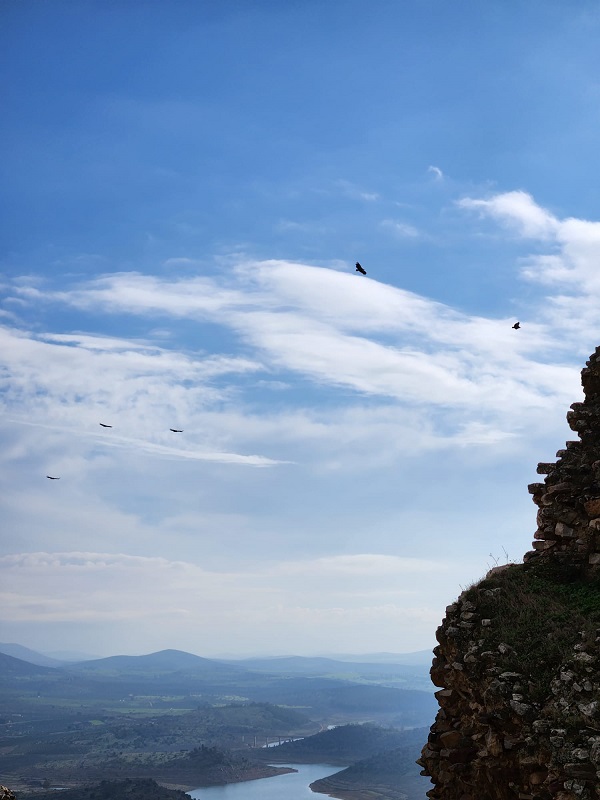 Birdwatching in Extremadura in winter_2