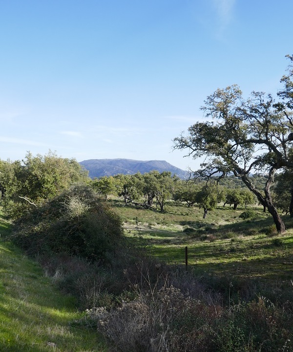 Winter skies in Extremadura