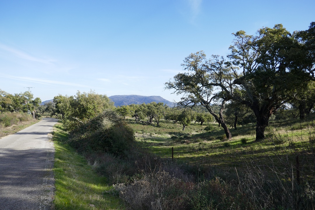 Winter skies in Extremadura