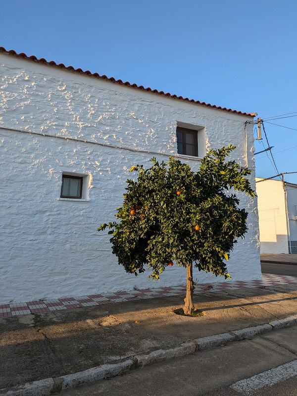 Colonisation villages in Extremadura_Palazuelo_4