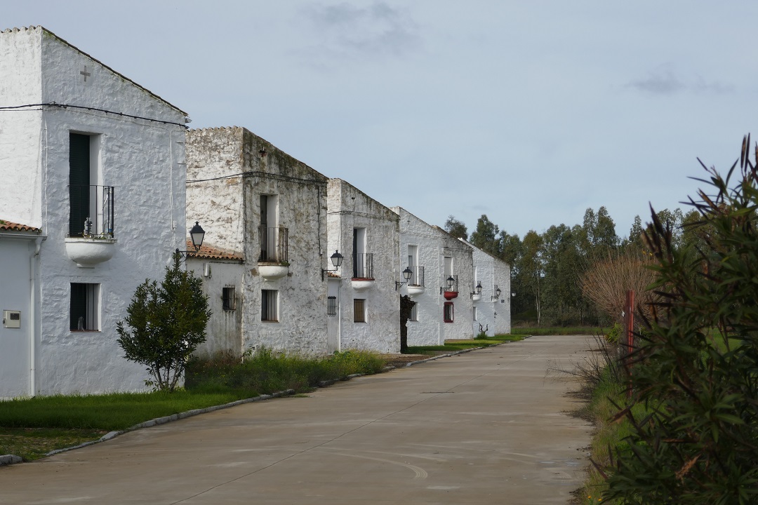 Colonisation villages_houses_Fernando V