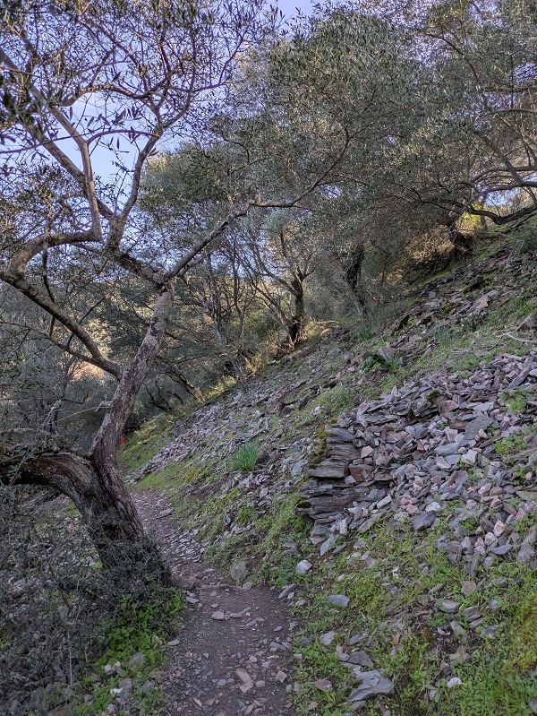 Monfragüe walk, part 2_1