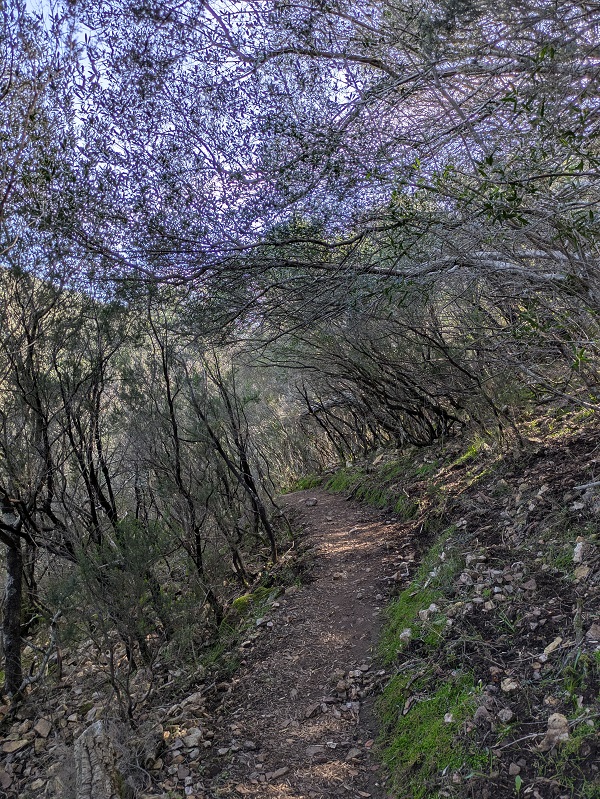 Monfragüe walk, part 2_2