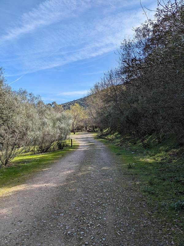 Monfragüe walk, part 2_4