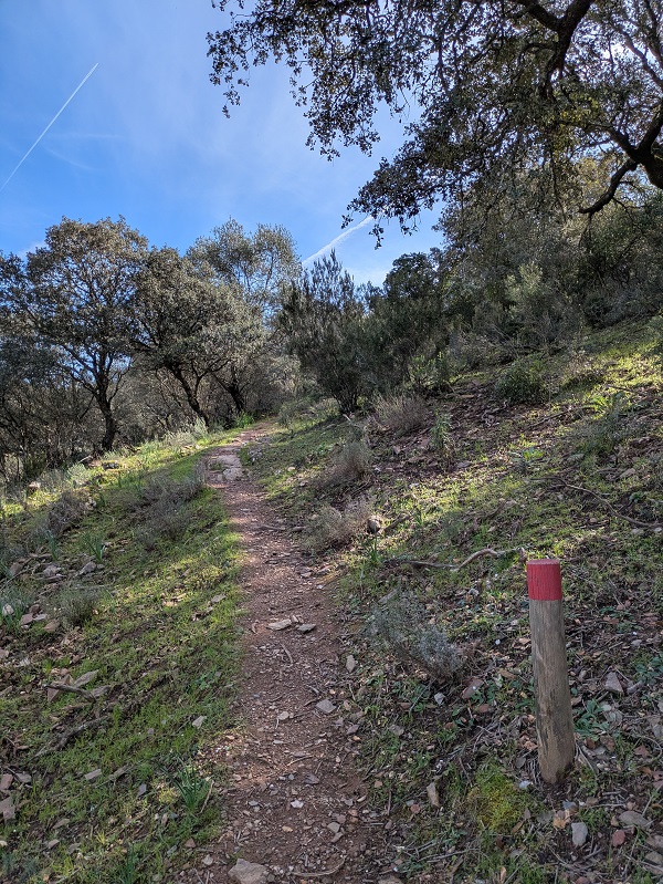 Monfragüe walk, part 3_1