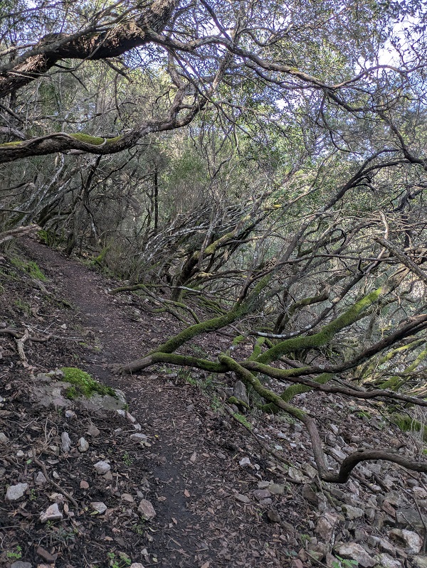 Monfragüe walk, part 3_3