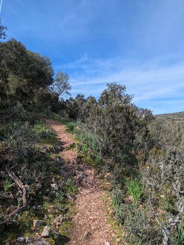 Monfragüe walk, part 3_4