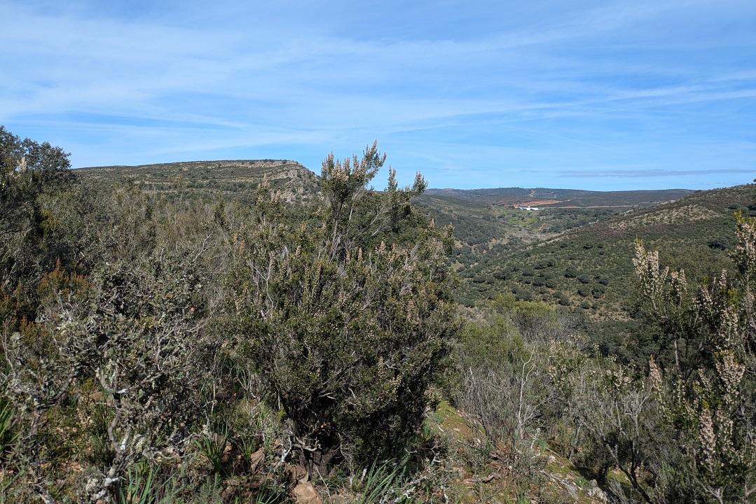 Monfragüe walk, part 3_5