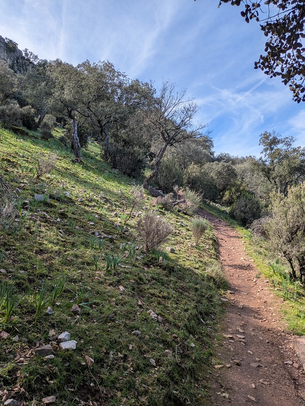 Monfragüe walk, part 4_2