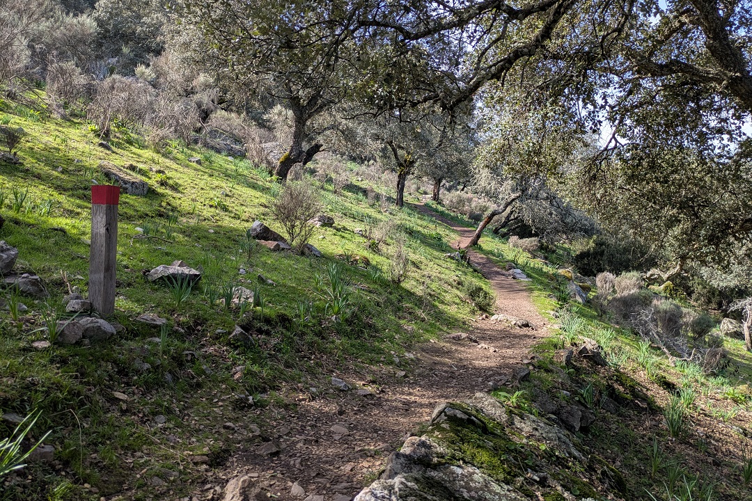 Monfragüe walk, part 4_3