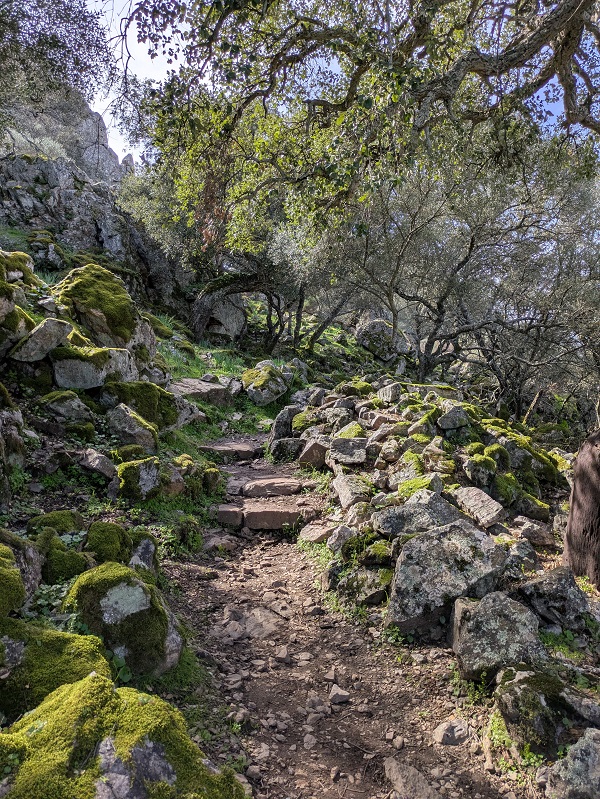 Monfragüe walk, part 4_4