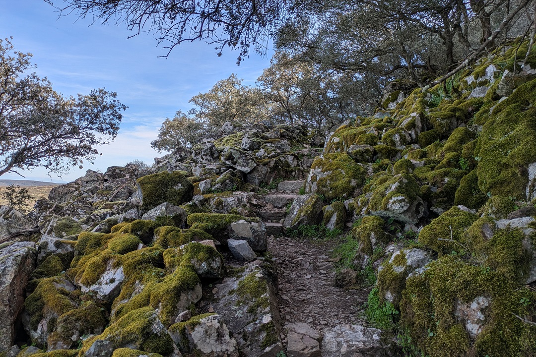 Monfragüe walk, part 5_1