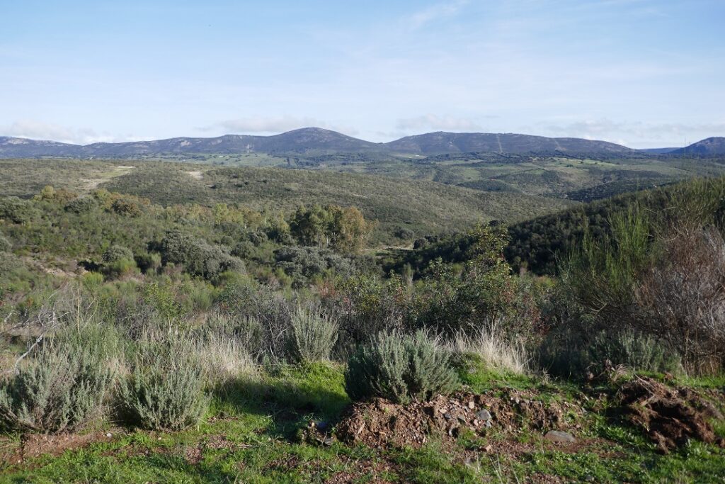 Extremadura in autumn