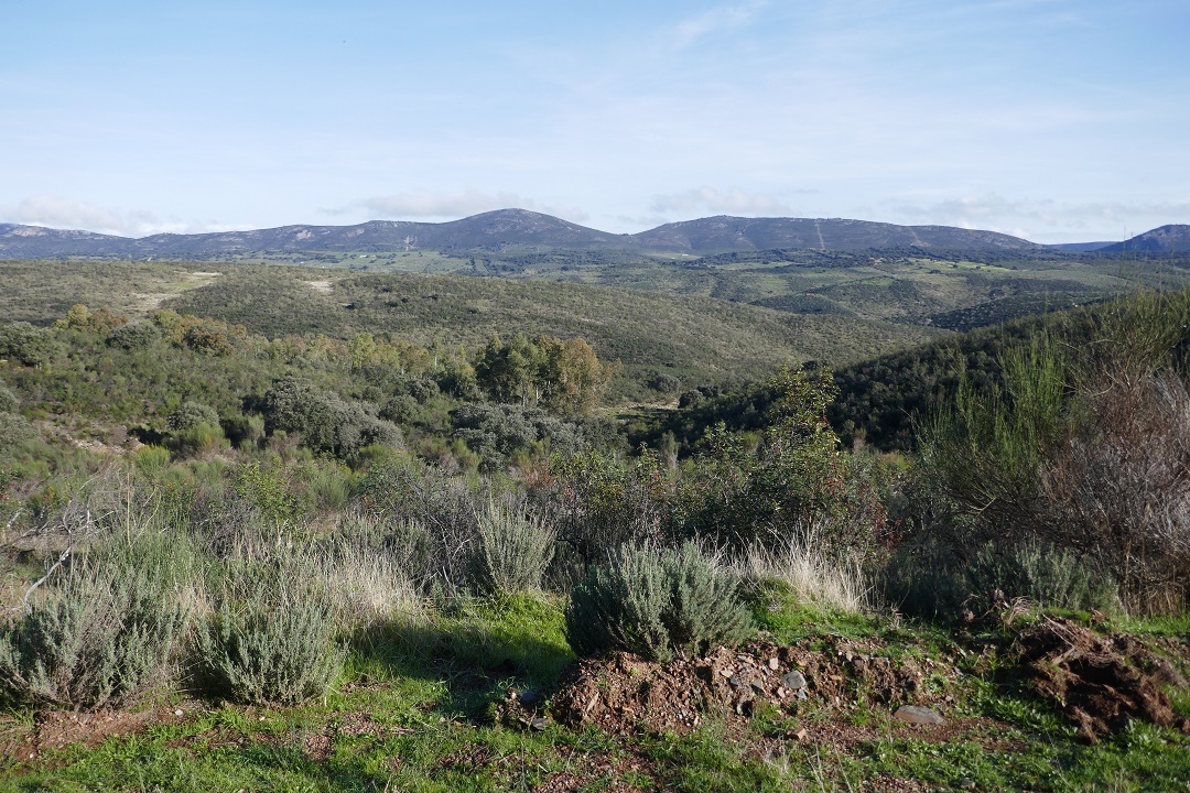 Extremadura in autumn