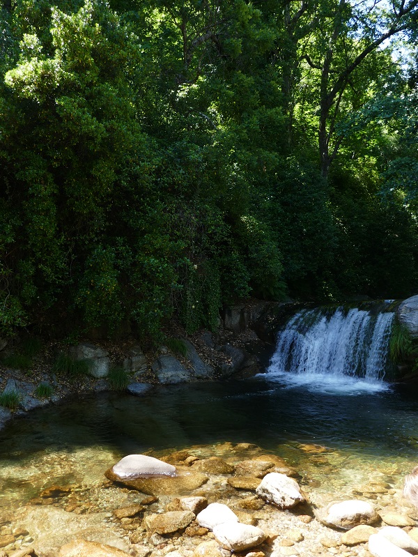 Garganta la Olla_charco Calderón