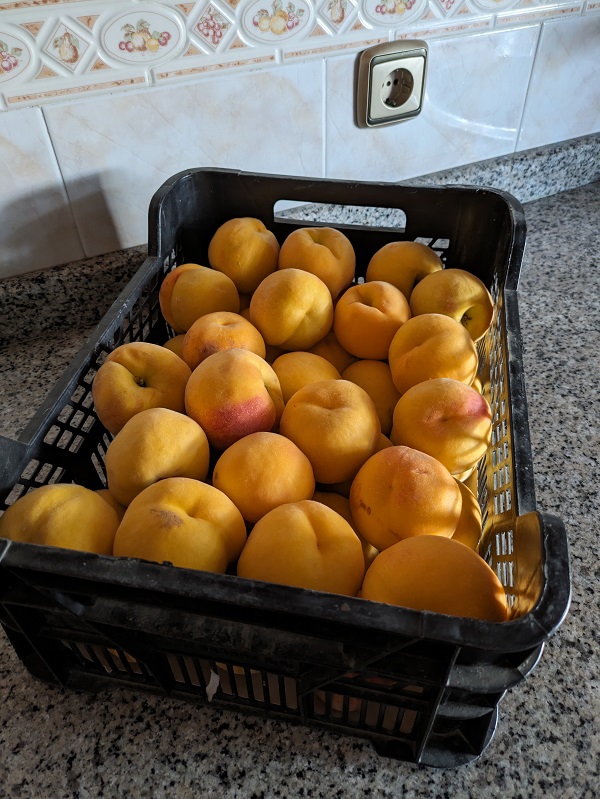 Extremadura in summer_peaches Extremadura in summer_peaches
