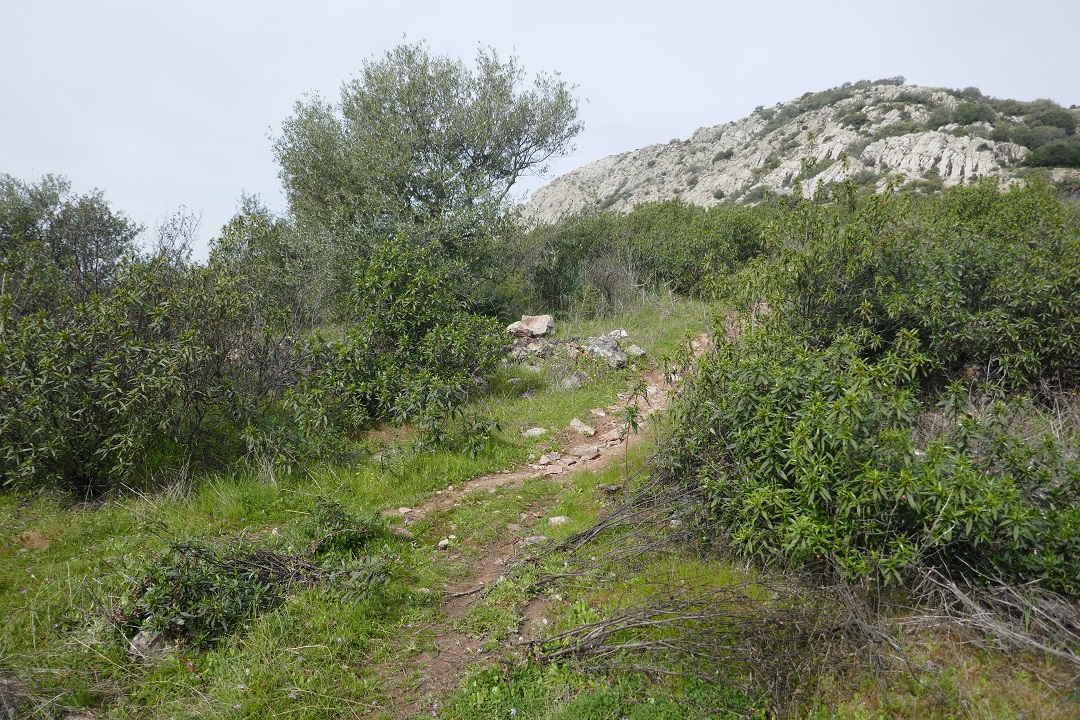 Senda del Peñón del Pez, Capilla_clearing Senda del Peñón del Pez, Capilla_clearing