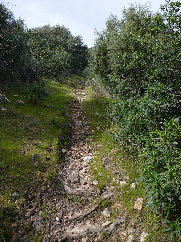 Senda del Peñón del Pez, Capilla_path up the sierra, climb Senda del Peñón del Pez, Capilla_path up the sierra, climb