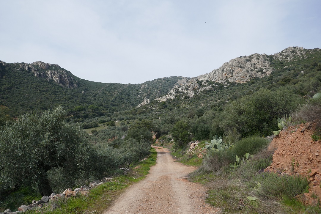 Senda del Peñón del Pez, Capilla_path up the sierra Senda del Peñón del Pez, Capilla_path up the sierra