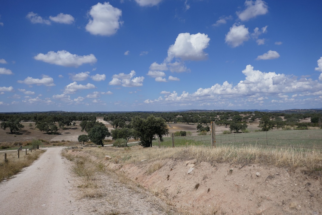 Summer in Extremadura_rain