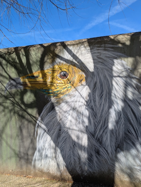 Street art in Salorino_mural 9_2 Street art in Salorino_mural 9_2