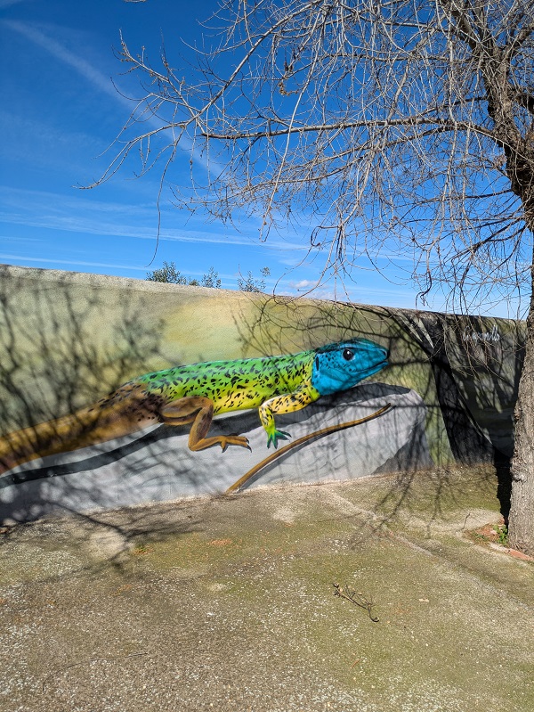 Street art in Salorino_mural 9_4 Street art in Salorino_mural 9_4