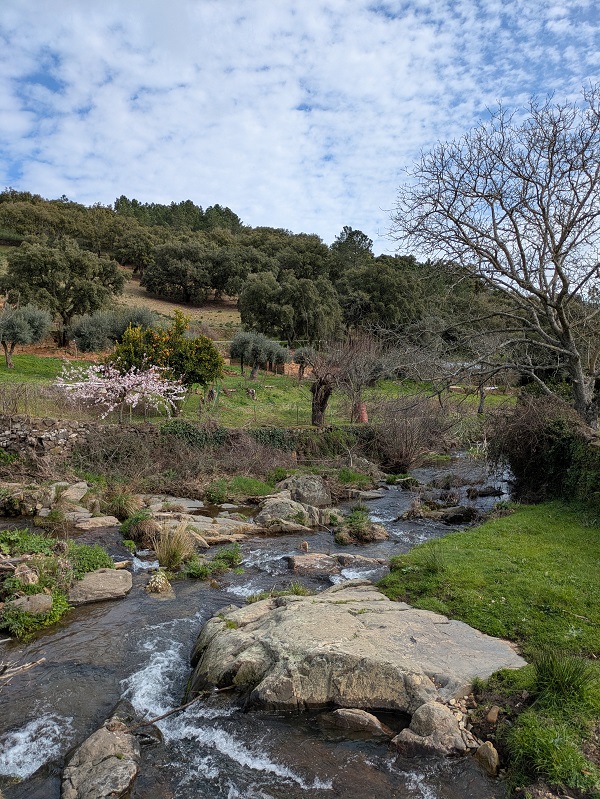 Berrocal de La Data, La Aceña de la Borrega_2 Berrocal de La Data, La Aceña de la Borrega_2