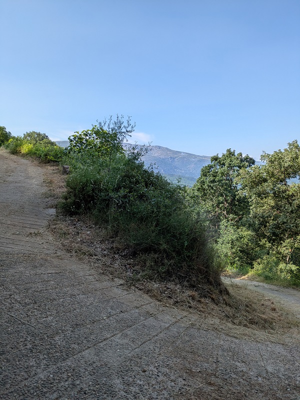 Ruta Puente de los Papúos_path keeps climbing up Ruta Puente de los Papúos_path keeps climbing up
