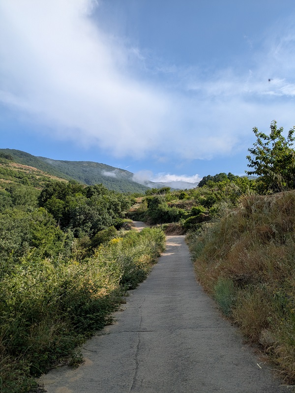 Ruta Puente de los Papúos_path up Ruta Puente de los Papúos_path up