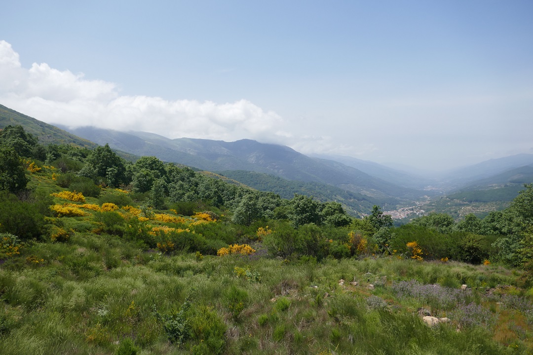 Viewpoints in Valle del Jerte Viewpoints in Valle del Jerte
